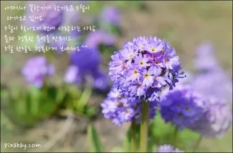 5월 인사말 모음 예시 멘트_20