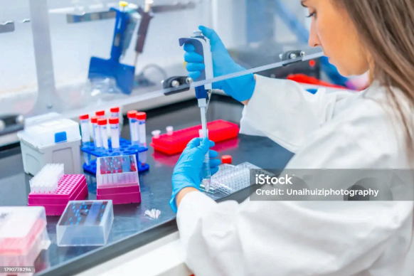 Candida albicans란 무엇인가? 곰팡이 감염의 원인, 증상, 검사 해석