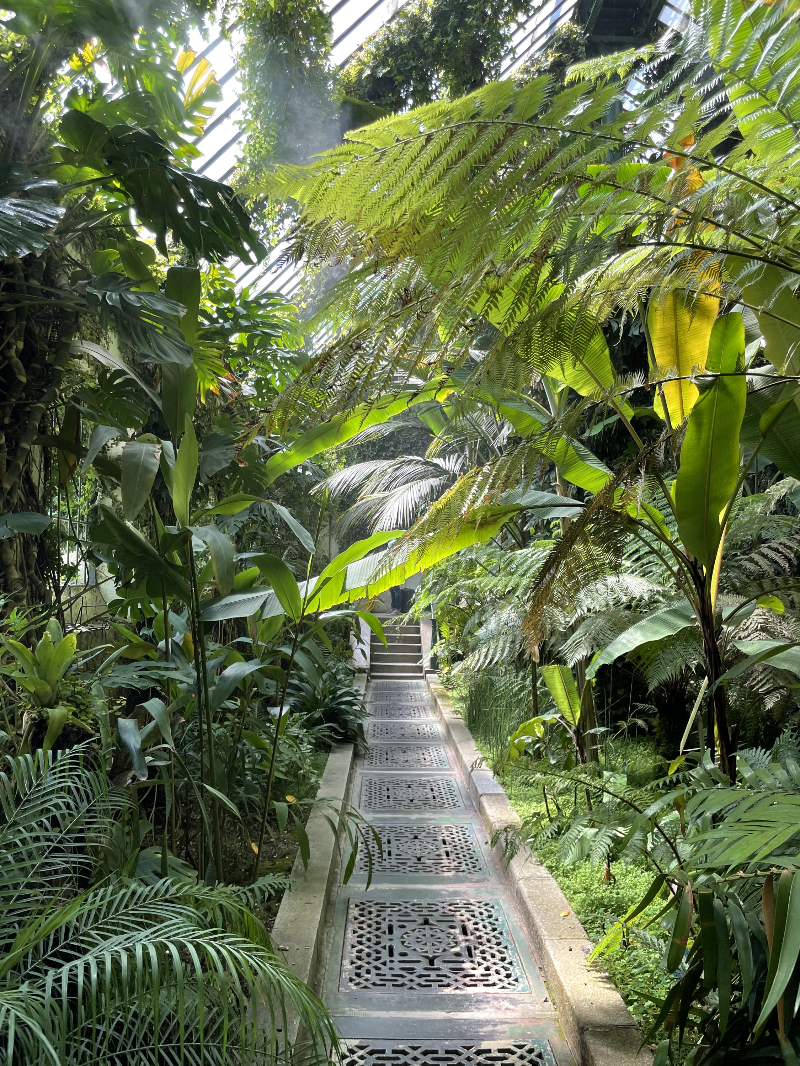 마드리드 왕립식물원 온실