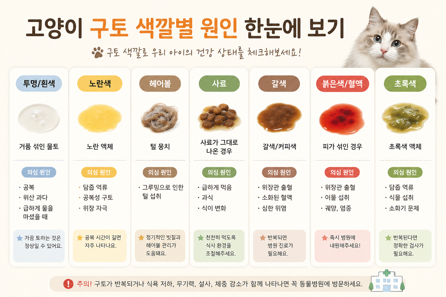 고양이 구토
