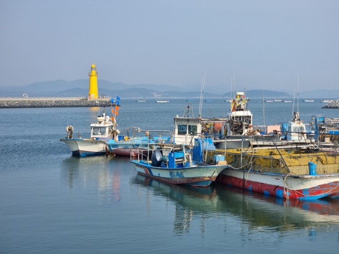 서천 동백꽃 주꾸미 축제