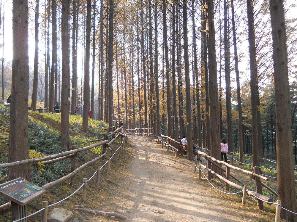 걷고 사랑하며 : 시간이 멈춘 안산자락길을 미치도록 걷고 싶다!