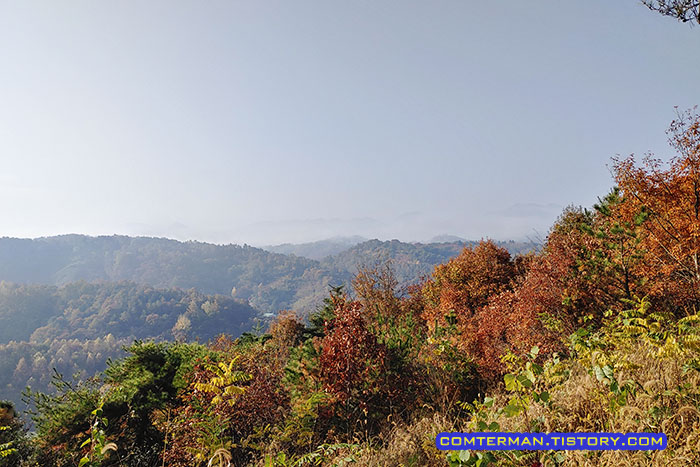 금산 만악리 수목원 정상 전경