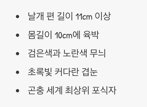 잠자리계의 황제, 장수잠자리