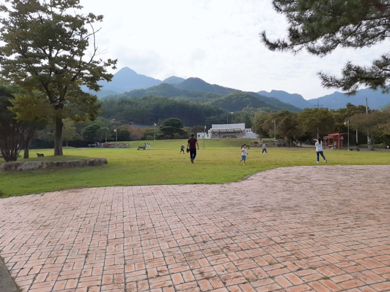 곡성 도림사오토캠핑장 소개