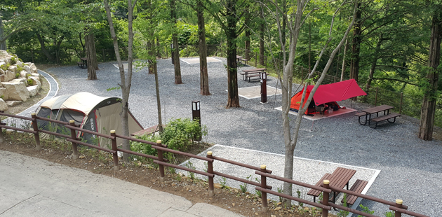 장태산 자연휴양림 예약