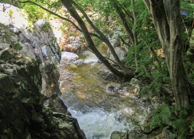 김천 가볼만한곳 베스트 10