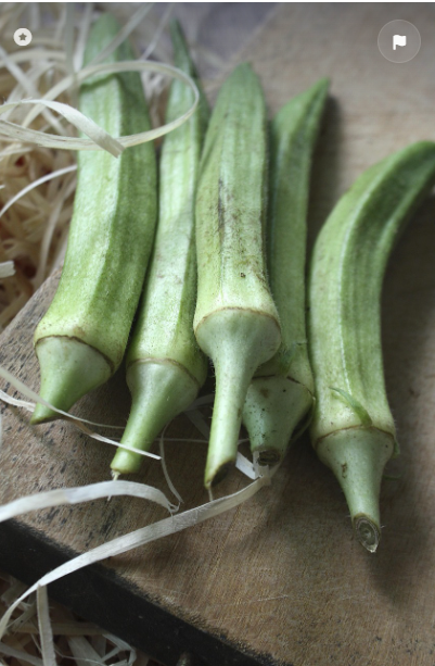 채소의 식이섬유