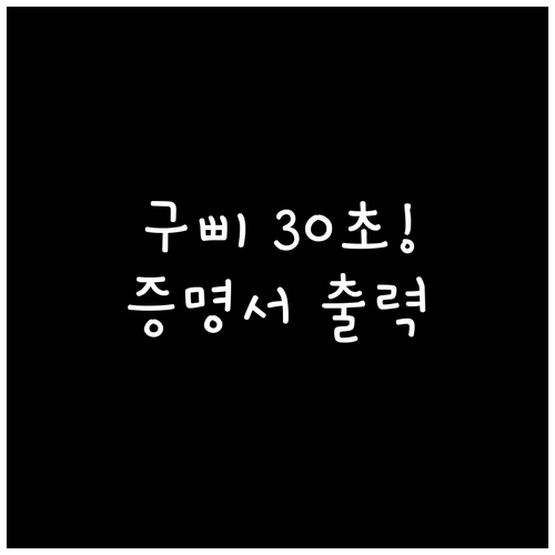 국민비서 구삐 네이버 연결 30초 만..