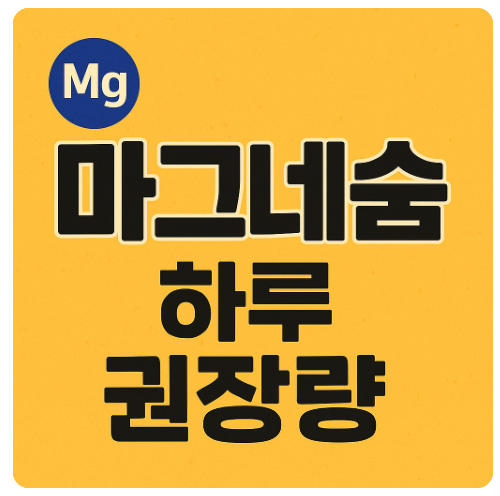 마그네슘 하루 권장량과 복용 팁