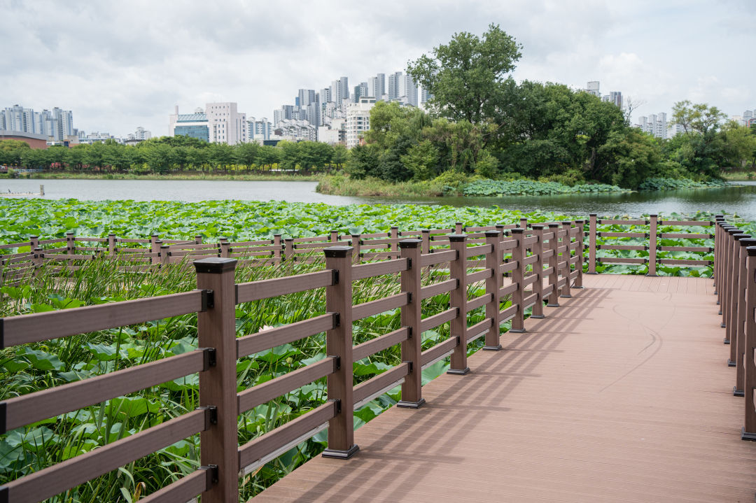 만석공원 산책로