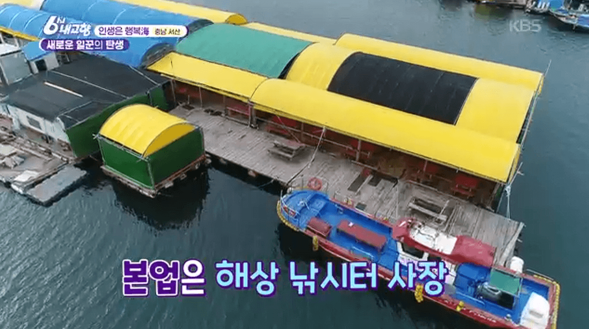 [6시내고향]충남 서산 해상 좌대낚시 고려호 창리해상펜션 바지락 해뜨는천수만 예약 연락처 위치 정보를 자세히 알려주는 이미지입니다.