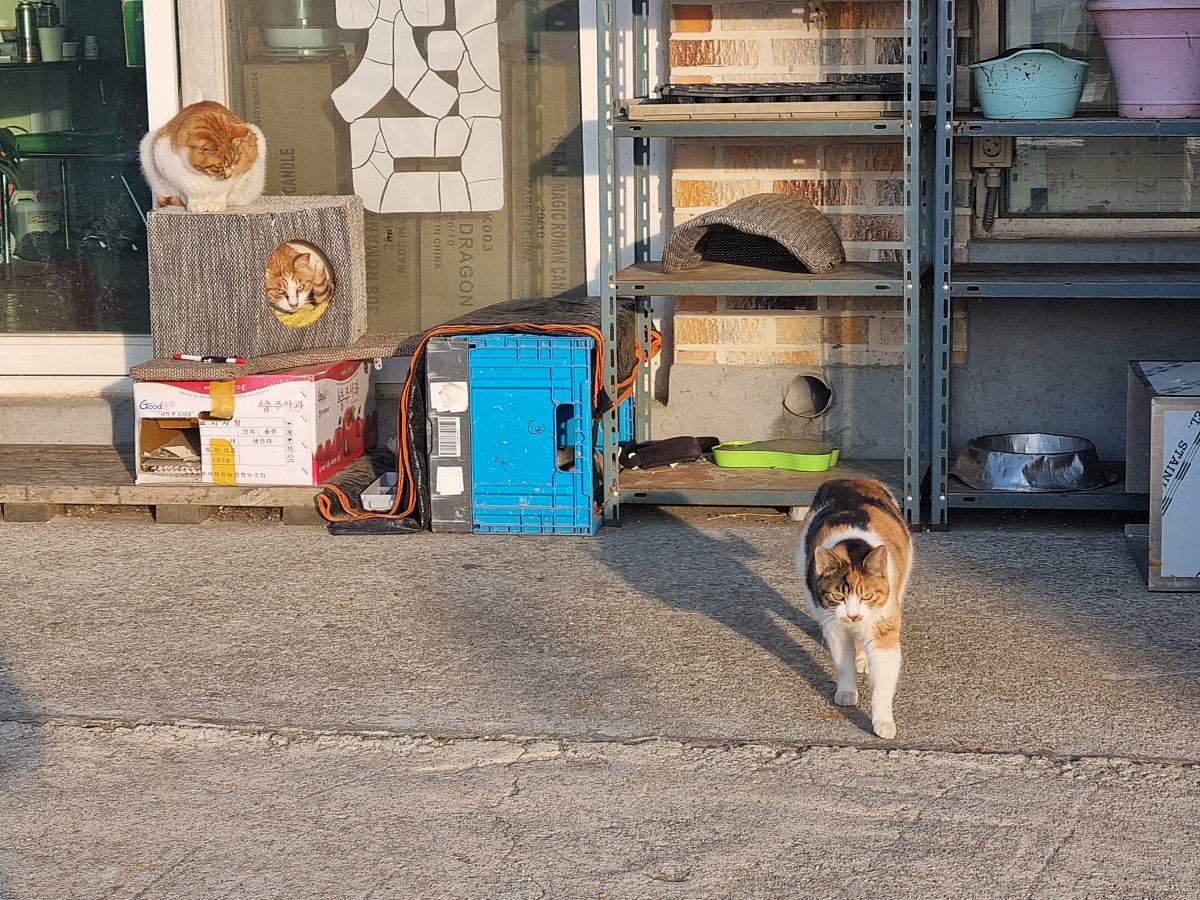 인천 강화도&amp;#44; 석모도 겨울 바다 설경 (민머루 해수욕장&amp;#44; 동막해수욕장)과 해넘이 풍경 (건평항) 