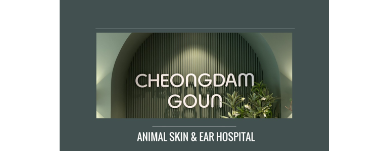 서울 강남구 동물병원