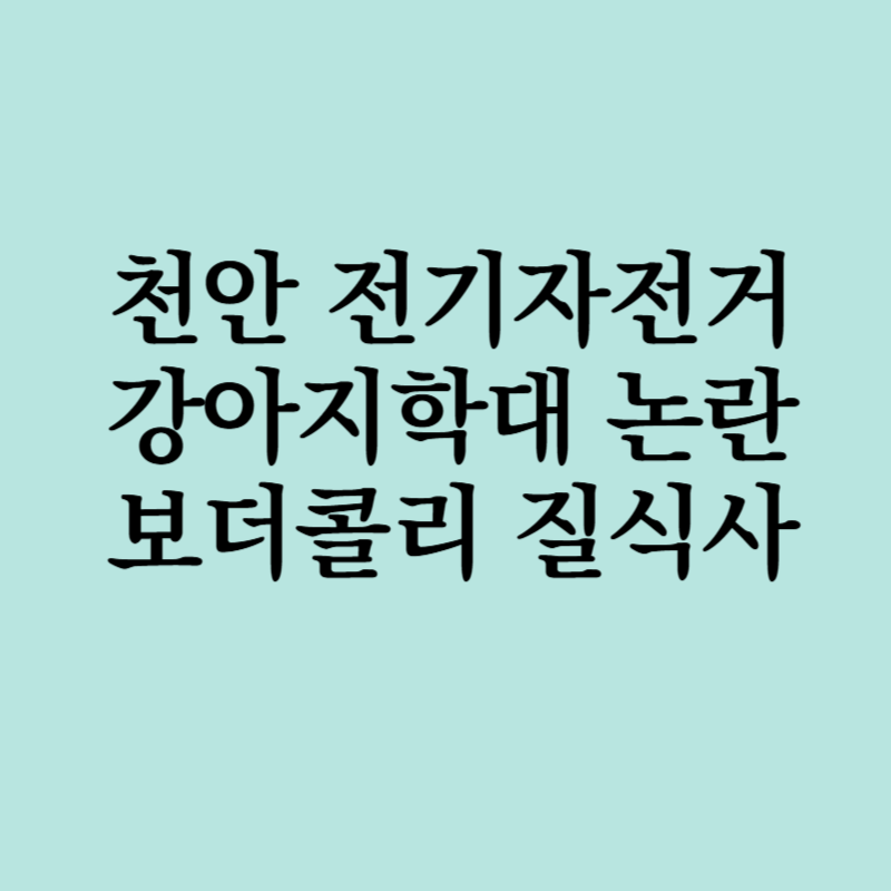 천안 보더콜리 학대