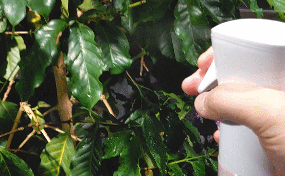 에어라파 분무기 레버 압축 지속