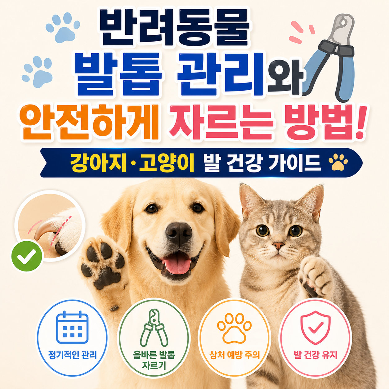 반려동물 발톱 관리