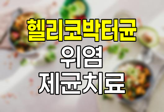 헬리코박터균 증상, 감염경로, 제균치료 총정리