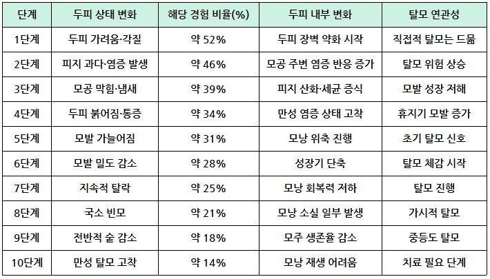 두피 트러블을 방치하면 탈모로 이어지는 단계