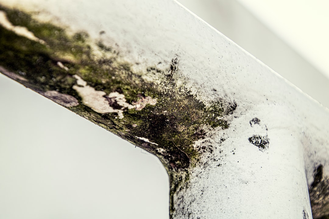 Mold
