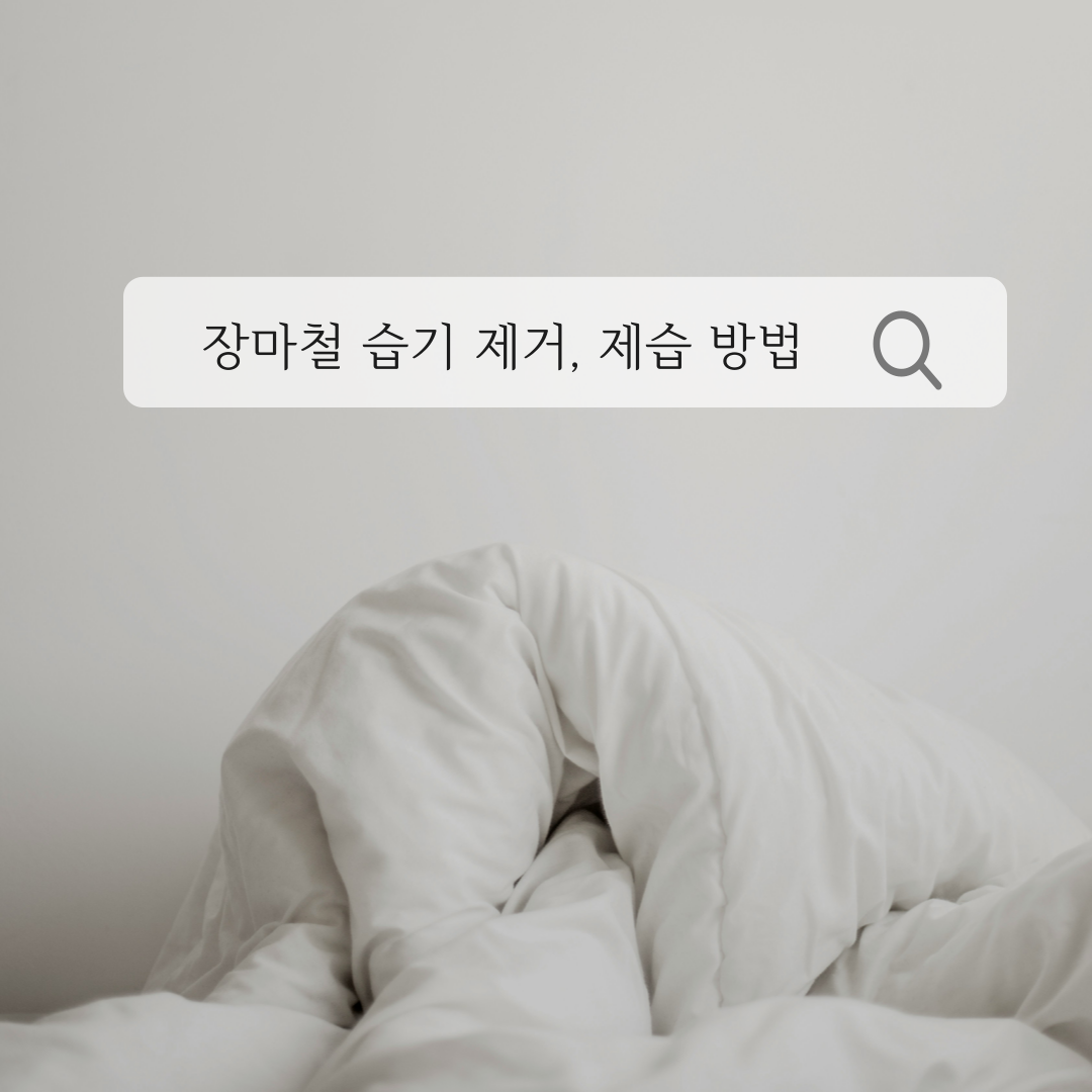 장마철 습기 제거, 제습 방법