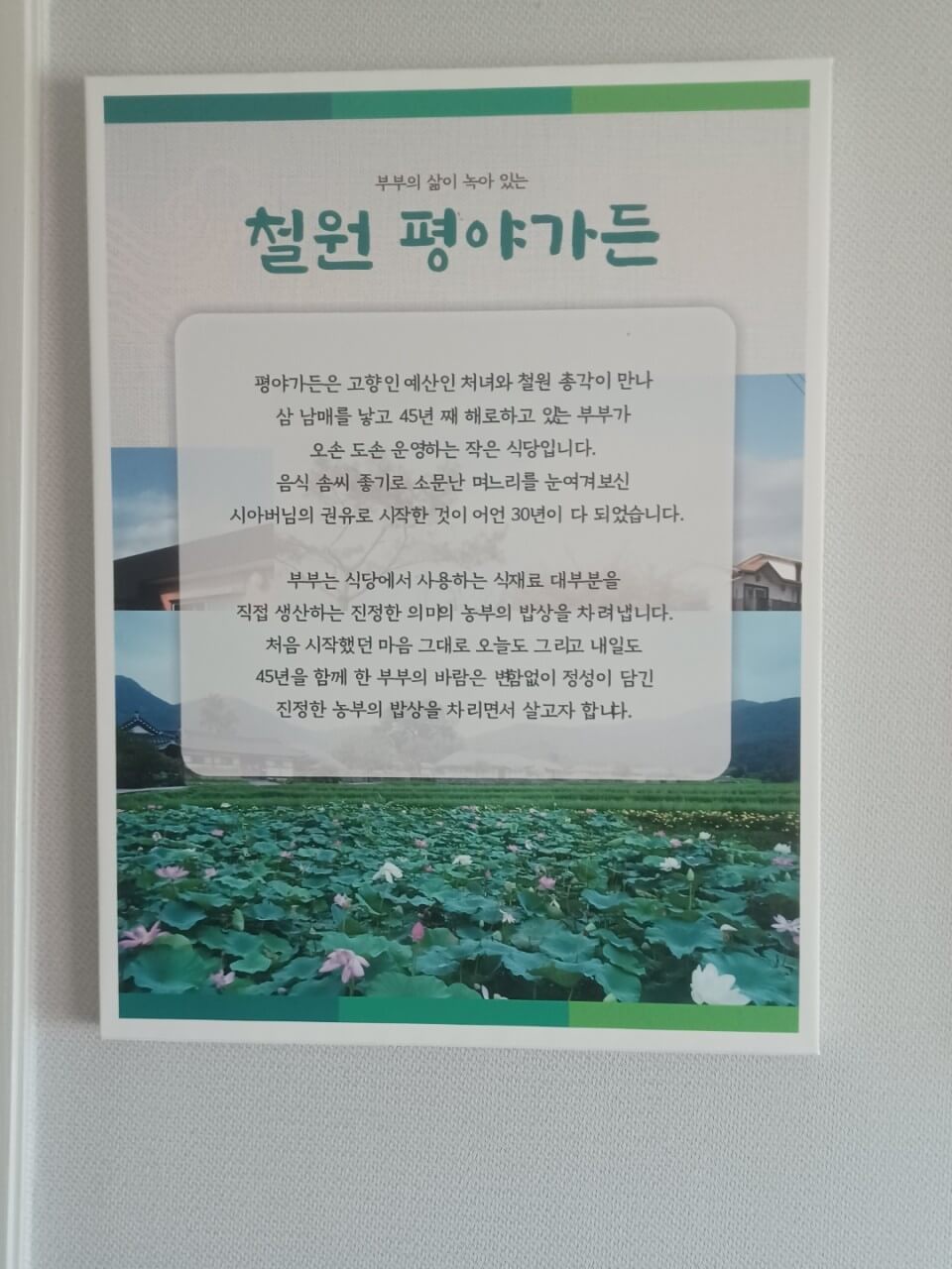 오늘N 2516회 위대한 일터 강원 철원 연잎 밥상 맛집 철원평야가든