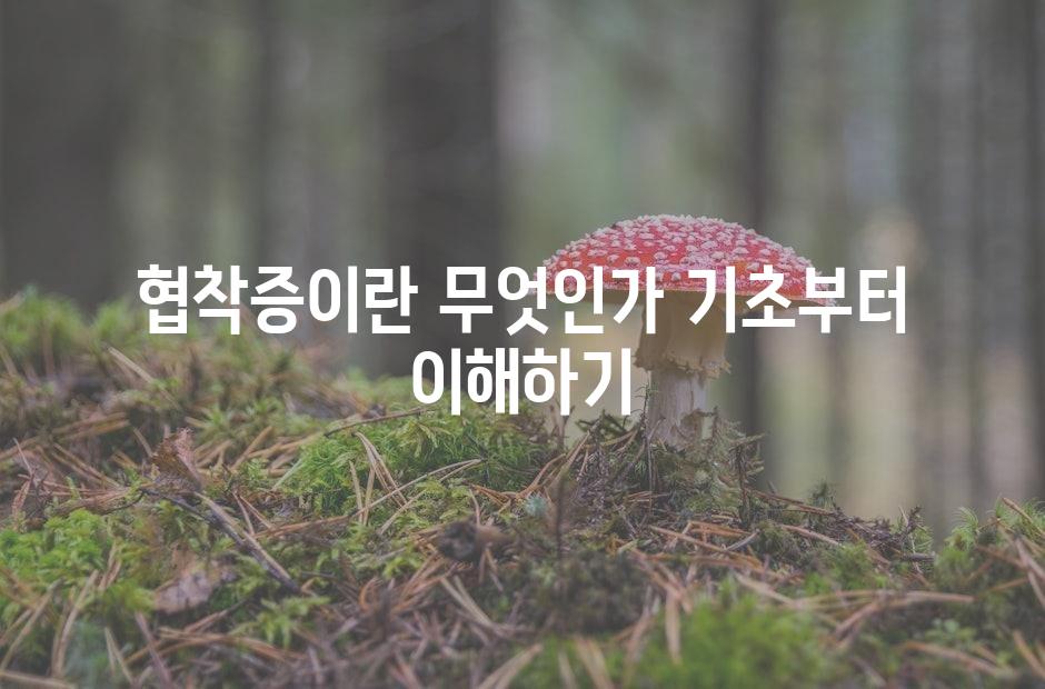 샘플 (42)