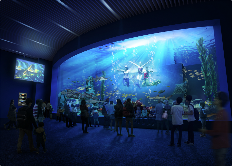 대구 아쿠아리움 – 해양 세계 속 감성 데이트
