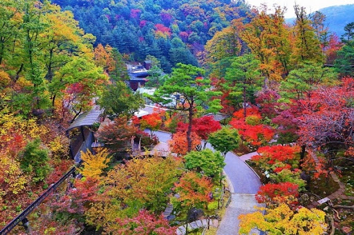 담