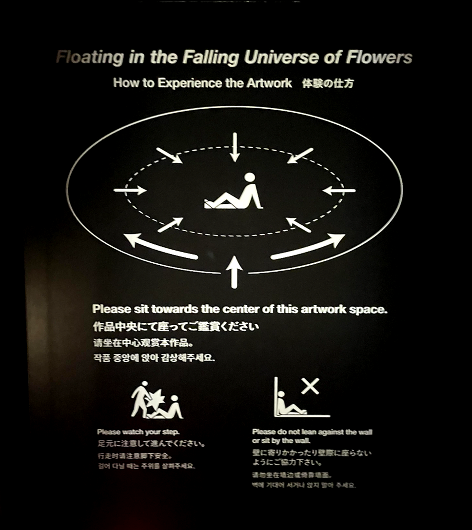 일본 도쿄 팀랩플래닛 관람-떨어지는 꽃들의 우주에 떠다니며