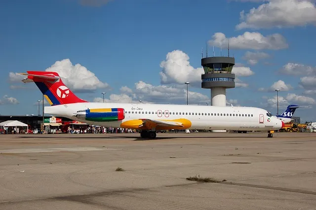 시편 91장 11절 읽기 - 그가 너를 위하여 그의 천사들을 명령하사_8