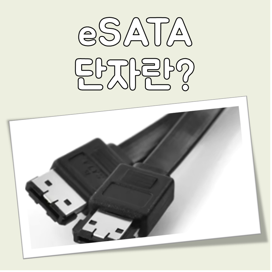 eSATA 단자란