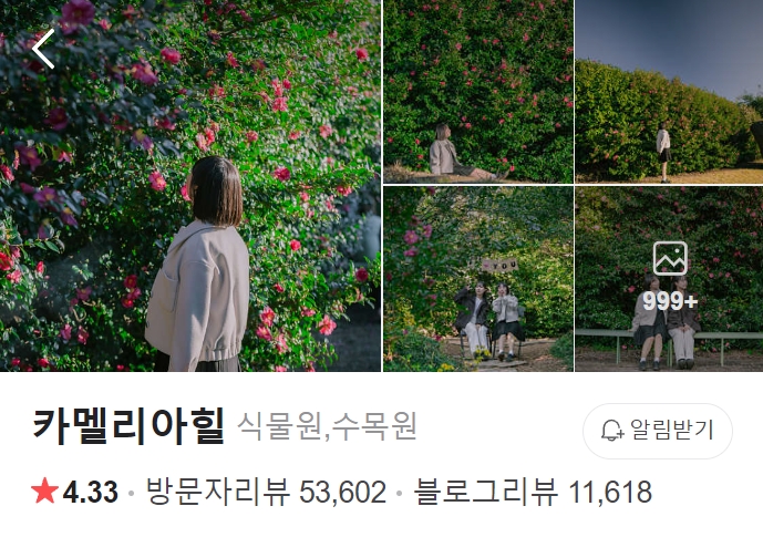 서귀포-카멜리아힐-썸네일