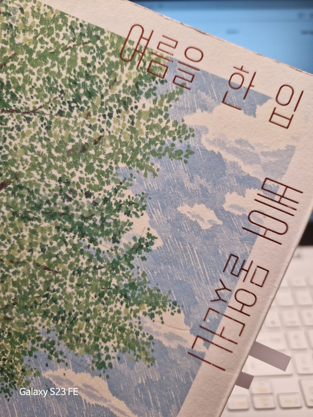 여름을 한 입 베어 물엇더니