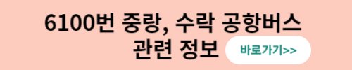 6100번 공항버스 관련 정보