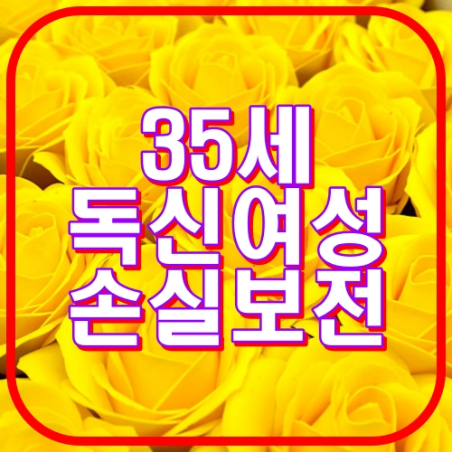 35세 독신여성 손실보전