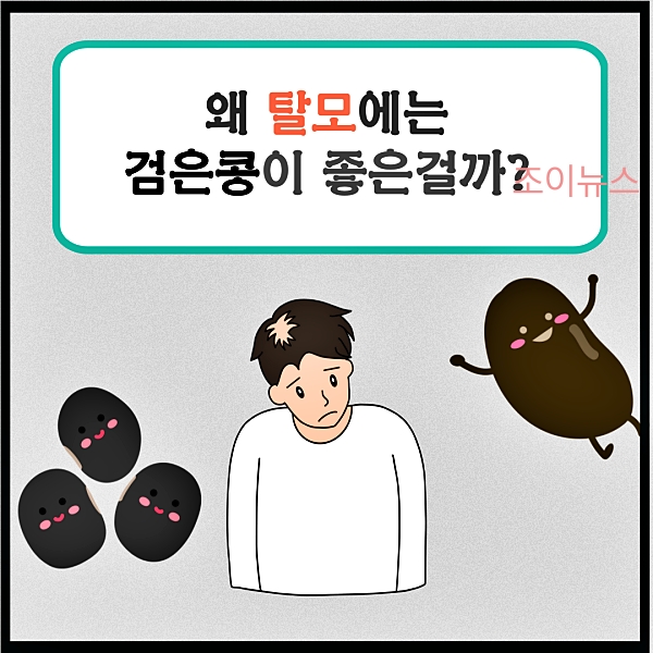 왜 탈모에 검은콩이 좋을까? 검은콩의 효능