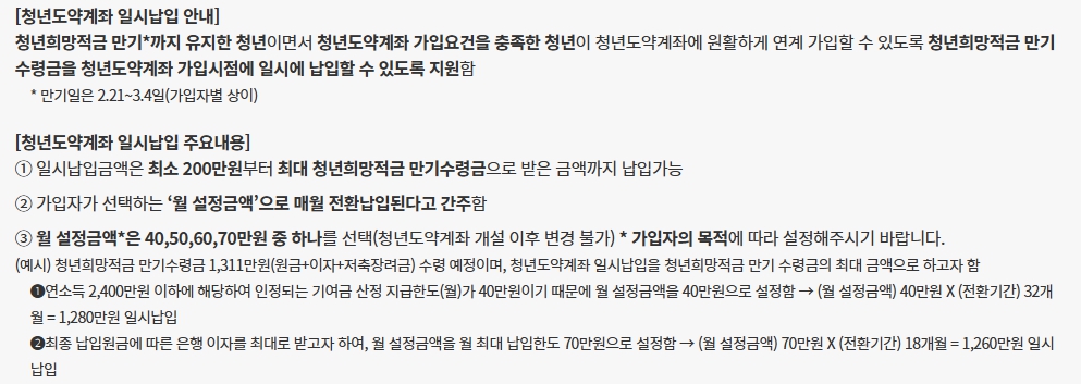 청년 도약계좌
