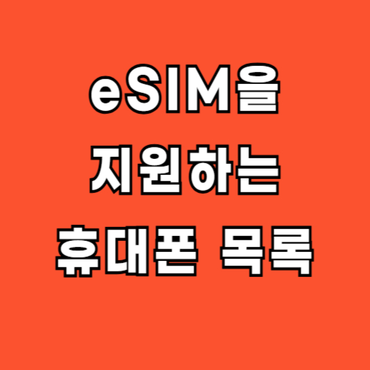 esim 지원 휴대폰 휴대전화