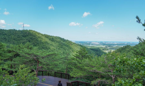 강릉 솔향수목원
