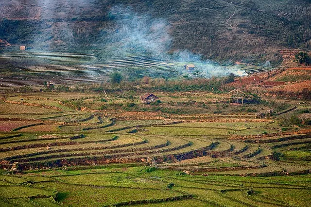 am pm 정확한 뜻과 올바른 사용법 오전과 오후 시간 구분의 차이점_8