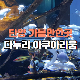 단양 아쿠아리움