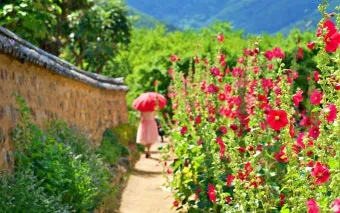 5월부터 6월 여행지 추천 덥기 전에 꼭 가야 할 최고의 힐링 명소 8곳_18