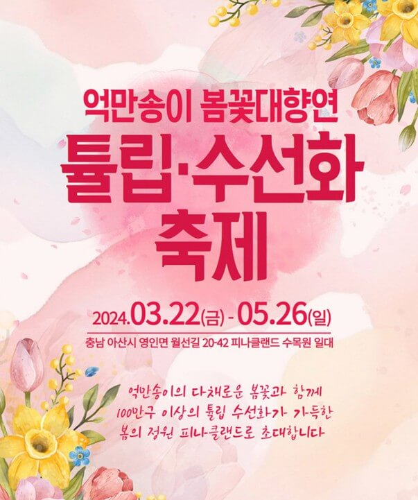피나클랜드 불꽃축제
