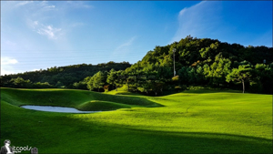 머리 올리기 좋은 골프장