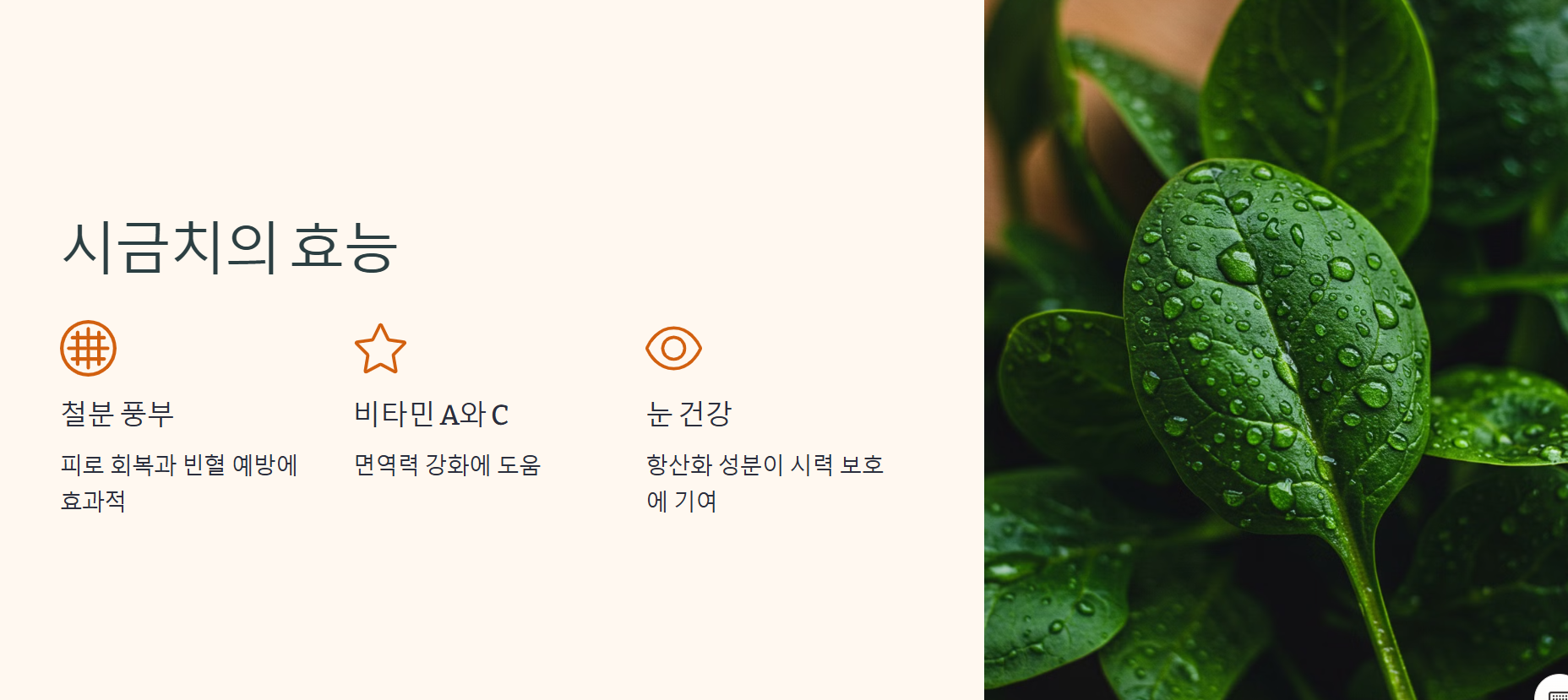 시금치의 효능