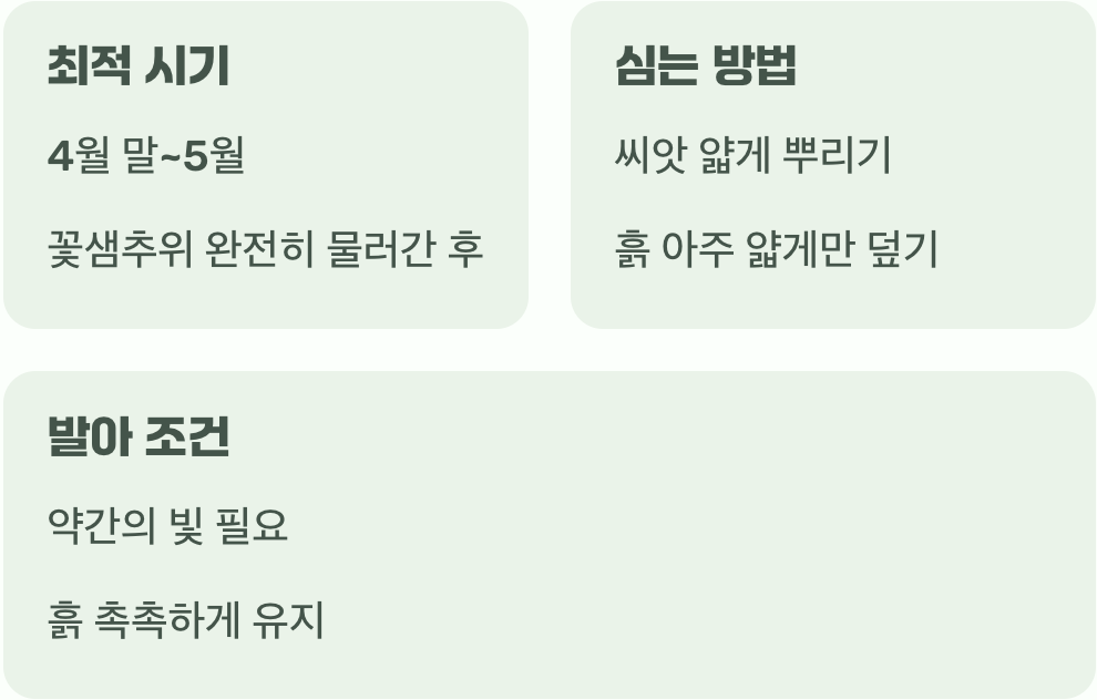 씨앗을 위한 첫 무대, 언제가 좋을까?