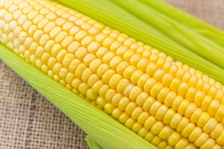 눈에 좋은 음식 10