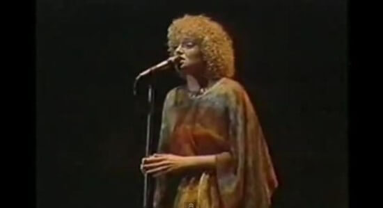 기타 리스트 데이비드 린들리(David Lindley)