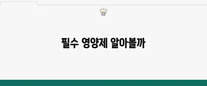 면역력 높이는 영양제 추천: 환절기 필수템 비교